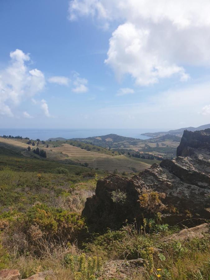 Mas Del Roumany Villa Port Vendres Eksteriør billede