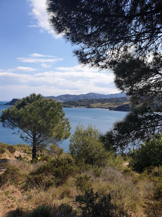 Mas Del Roumany Villa Port Vendres Eksteriør billede