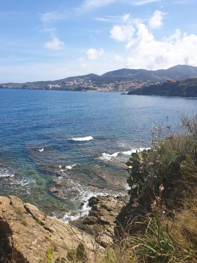 Mas Del Roumany Villa Port Vendres Eksteriør billede