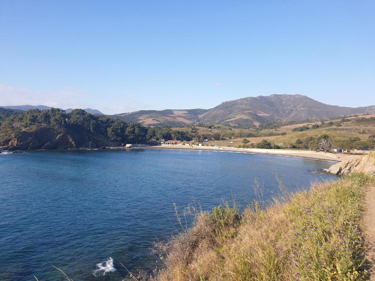 Mas Del Roumany Villa Port Vendres Eksteriør billede