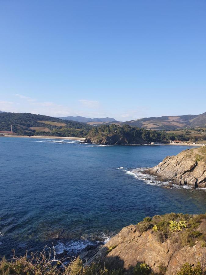 Mas Del Roumany Villa Port Vendres Eksteriør billede