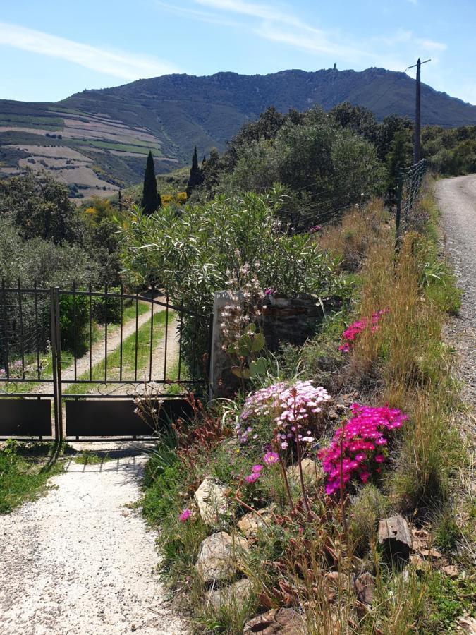 Mas Del Roumany Villa Port Vendres Eksteriør billede