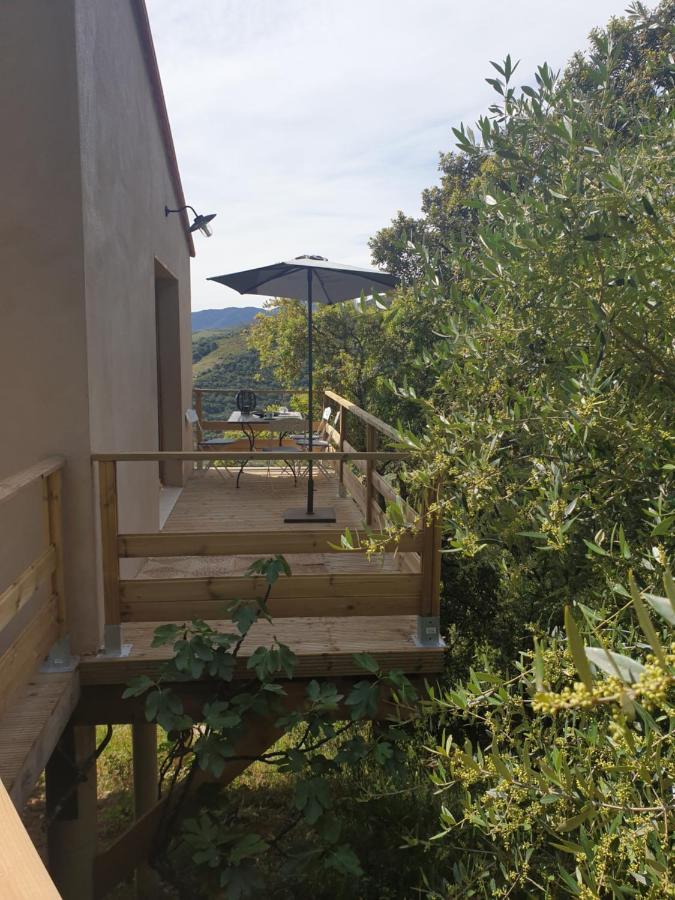Mas Del Roumany Villa Port Vendres Eksteriør billede