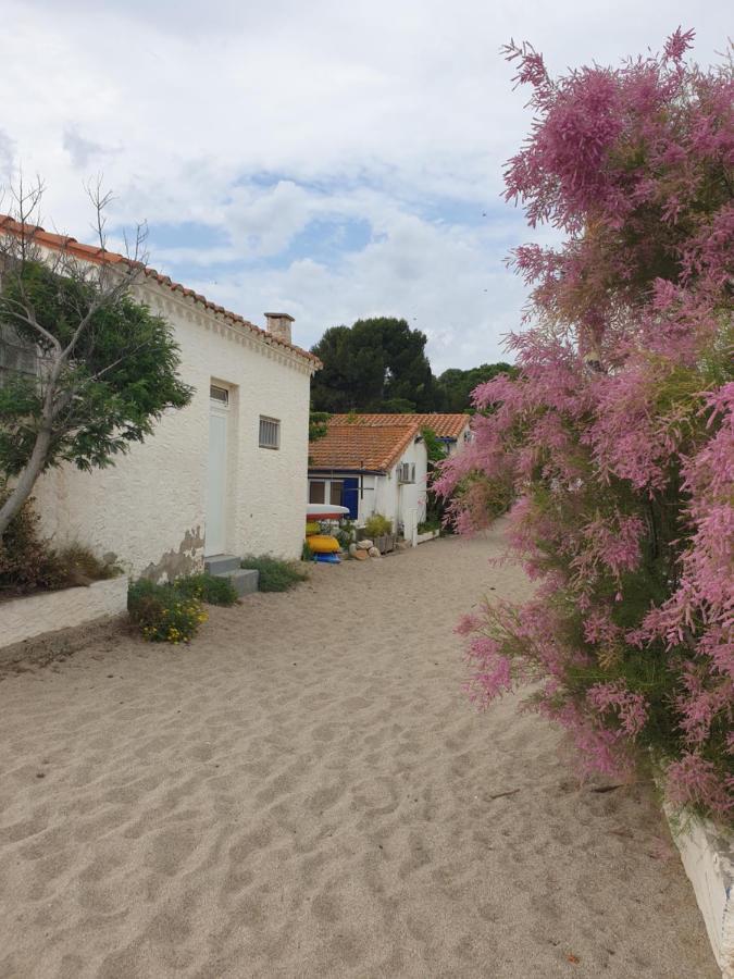 Mas Del Roumany Villa Port Vendres Eksteriør billede