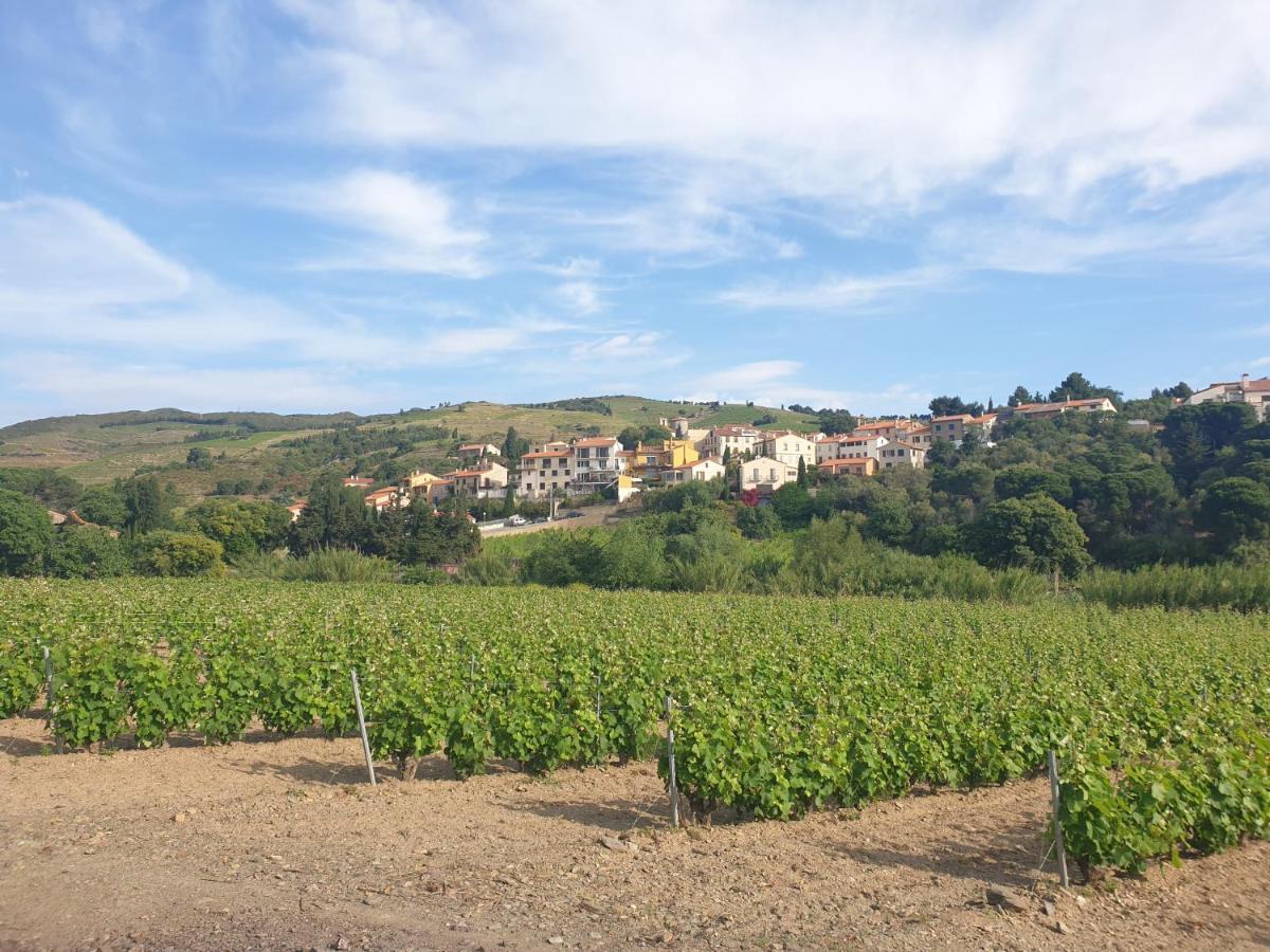 Mas Del Roumany Villa Port Vendres Eksteriør billede