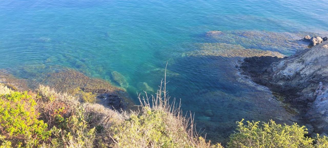 Mas Del Roumany Villa Port Vendres Eksteriør billede